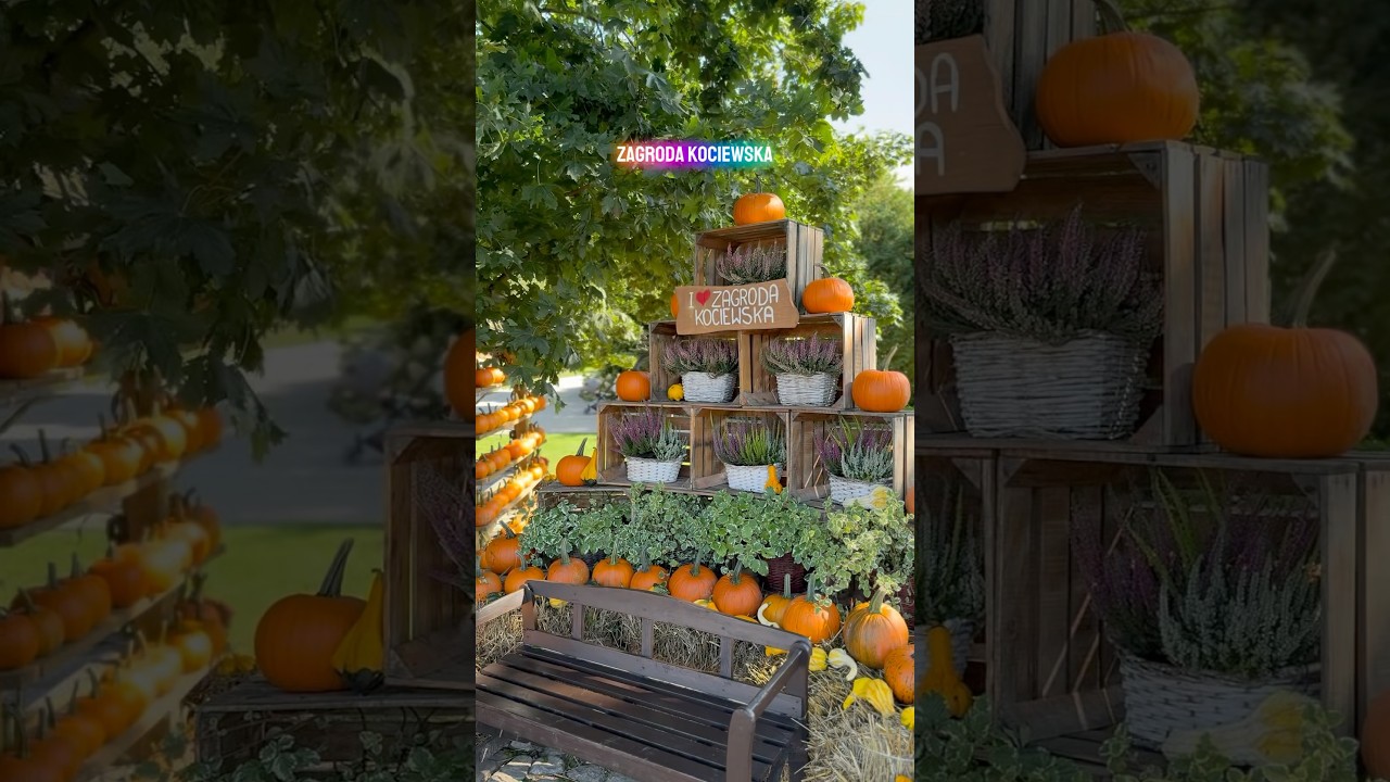 Dyniowe nowości w Zagrodzie Kociewskiej! 🎃