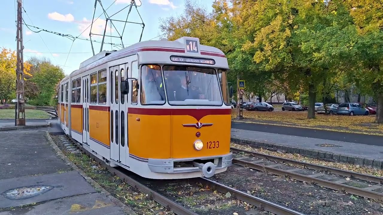 [N14] 1233 FVV Bengáli Újpesten (25.10.24)
