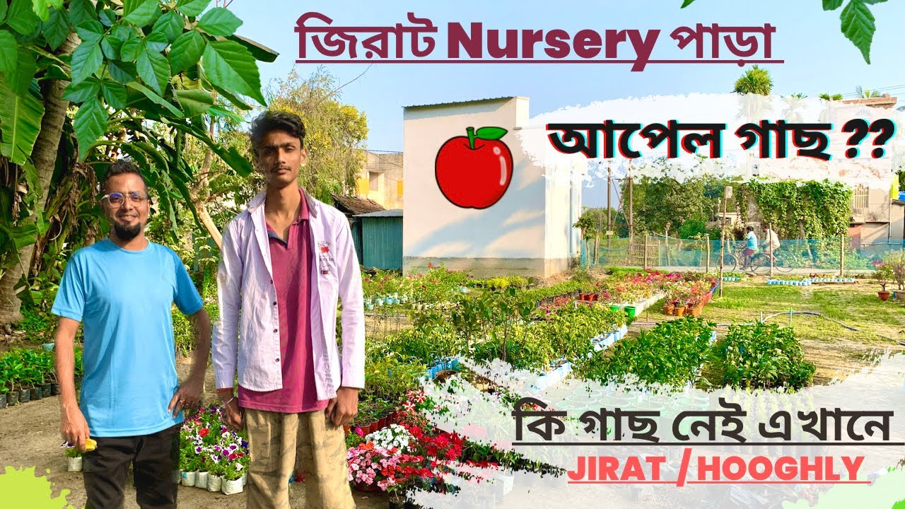ফুল🌼ফল🍓পাতাবাহার🍀গাছ কি নেই এখানে । জিরাট Nursery পাড়া । HOOGHLY