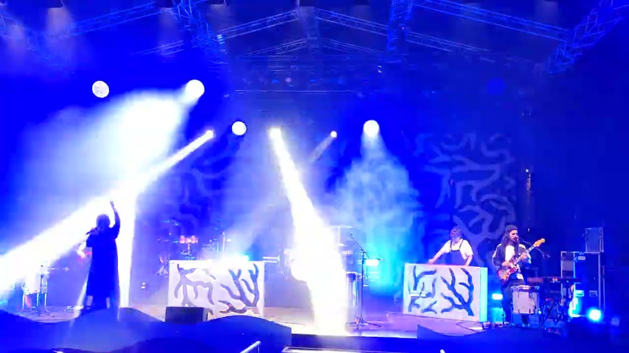 MINE - "Baum", live, 31.07.'25, Würzburg, "Hafensommer"