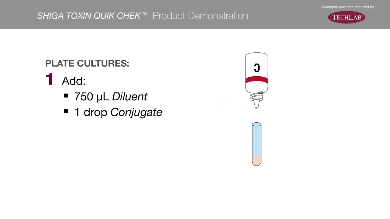 SHIGA TOXIN QUIK CHEK™ Product Demo