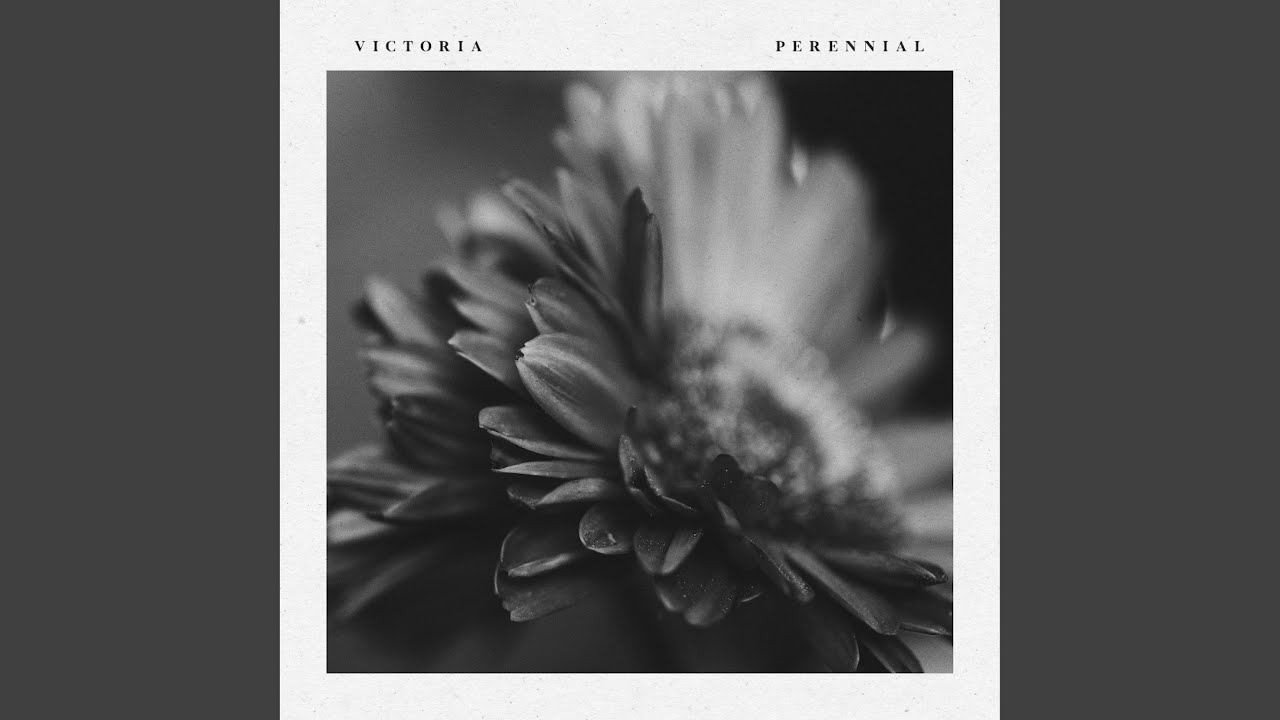 Perennial