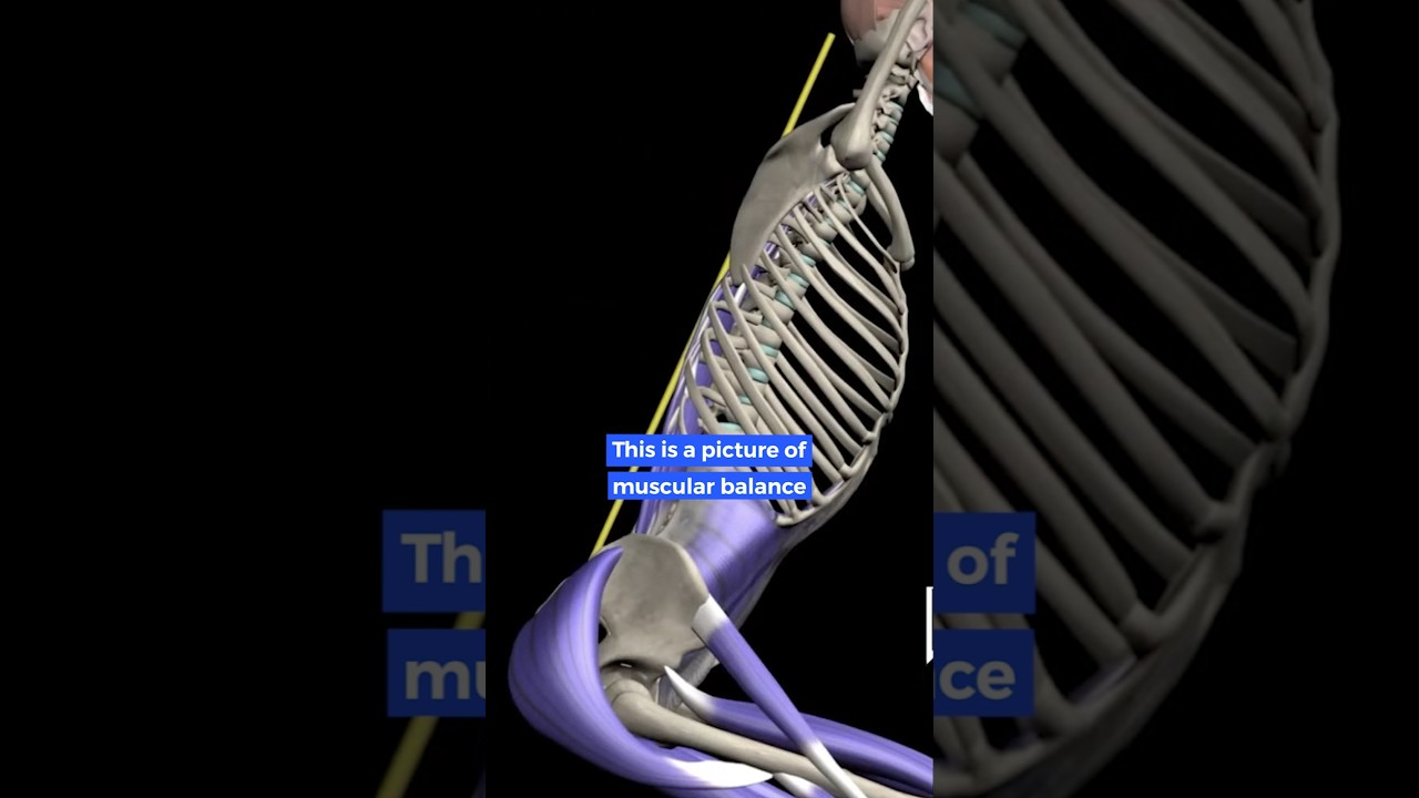 What muscular imbalance does to your body!