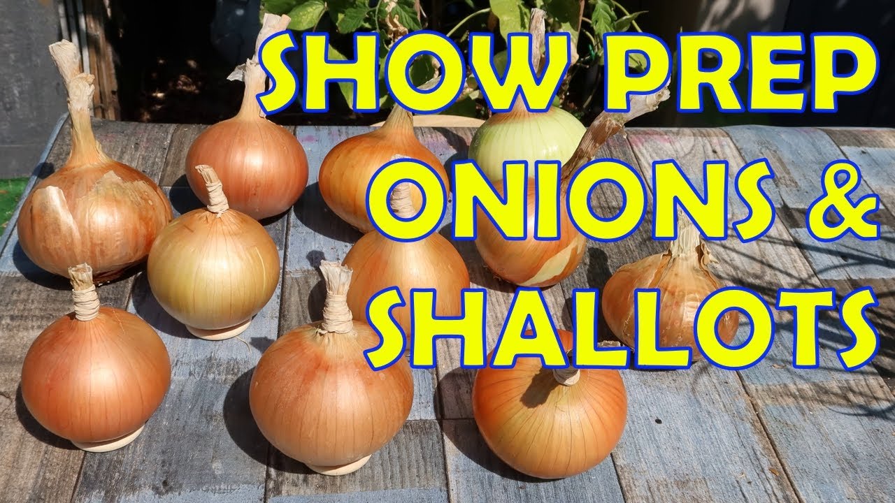 Dressing Shallots & Onions for Exhibition + Plaiting/Braiding Some Shallots