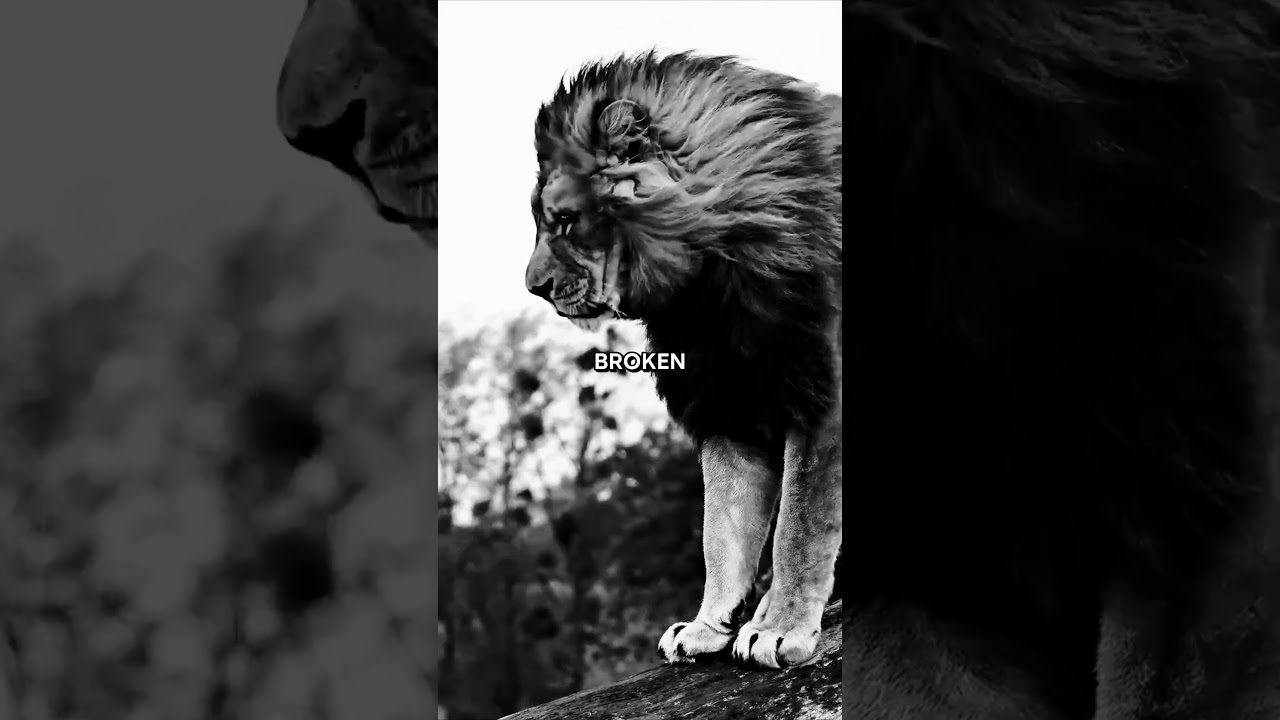 "Why God HIDES You (The Dangerous Truth You Need to Know!) ✝️"  