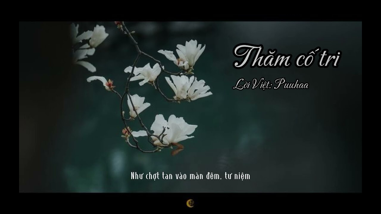 [Cover lời việt] Thăm cố tri | Puuhaa
