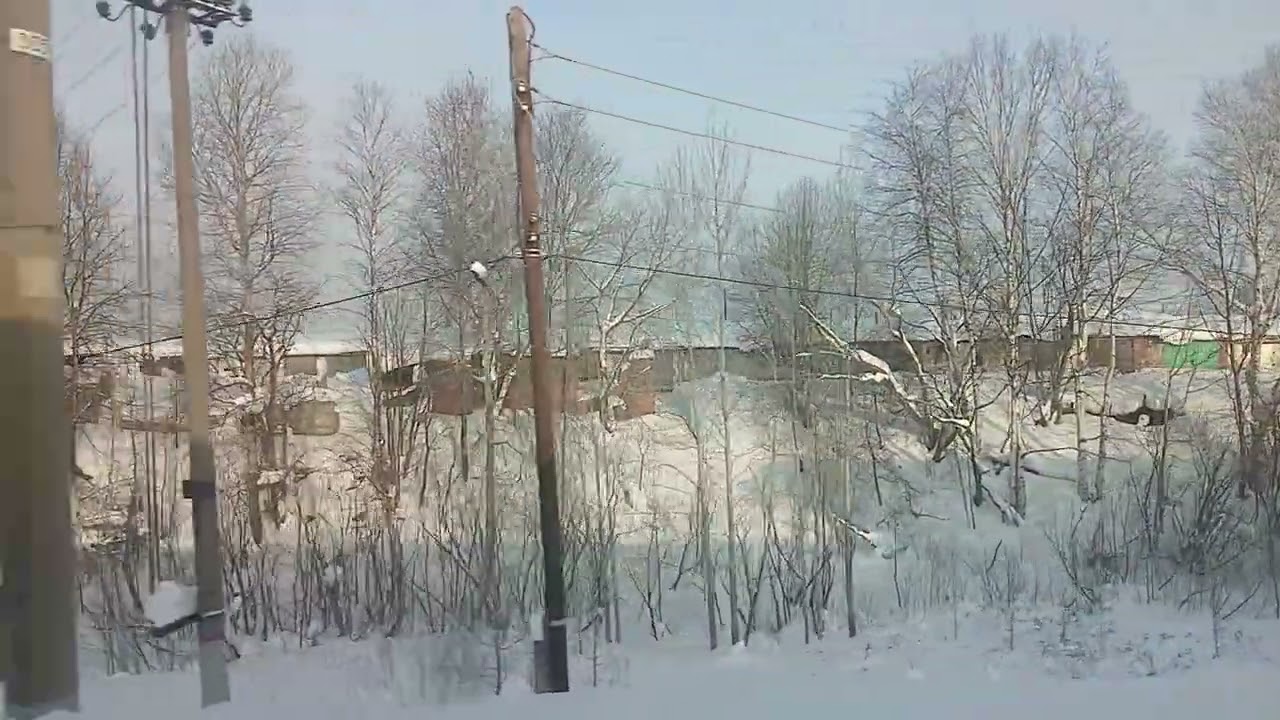 Едем домой из Пермского края 24.01.26  прибытие поезда на станцию Москва Ярославский Вокзал 25.01.26