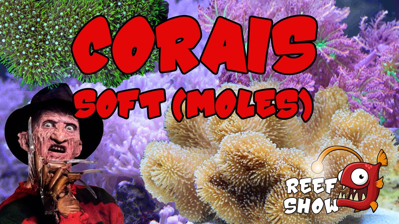 Reef Show #24 - Corais: Soft (Moles) - Aqu&aacute;rio Marinho