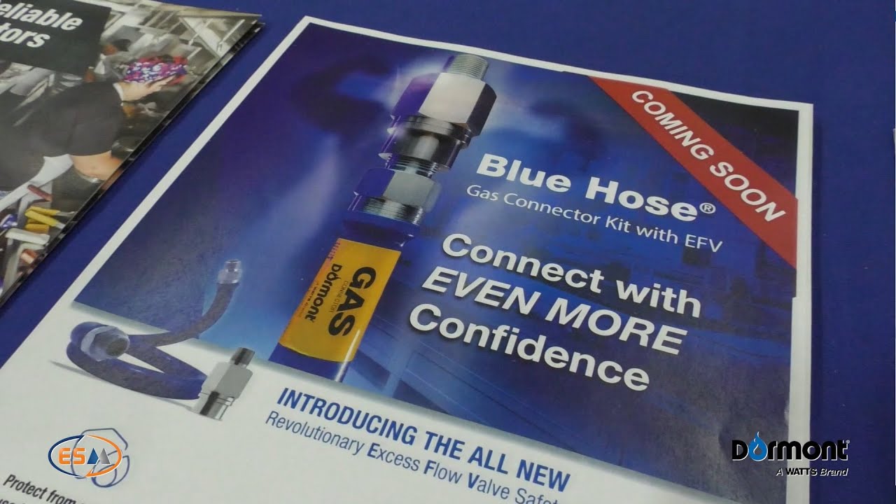 DORMONT - Excess Flow Valve (EFV) - Beyond the Big Show Presentation