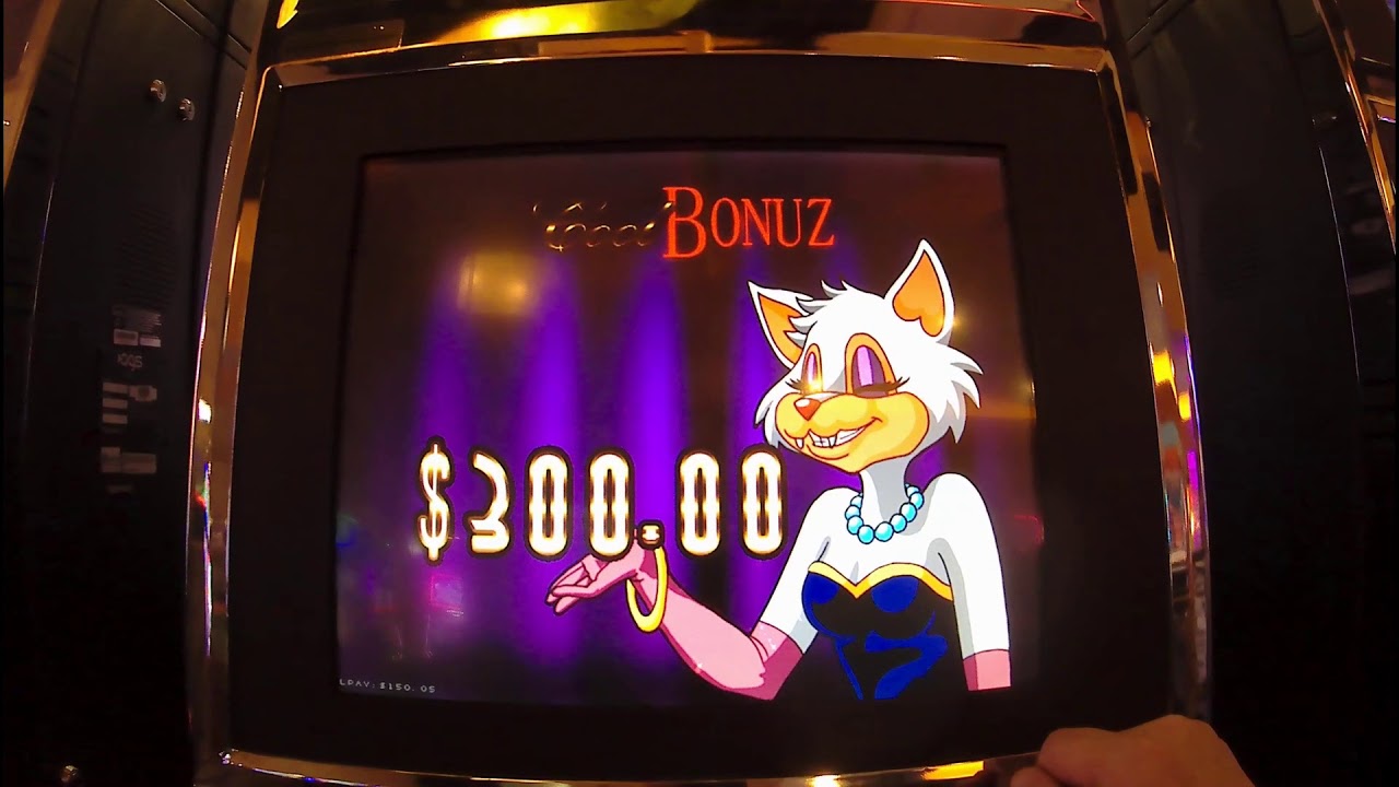 Update and Cool Cats $10 a spin