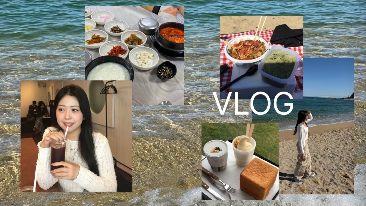 【韓国留学vlog】韓国ソクチョ旅行🇰🇷🪼食べまくりの2泊3日‼︎