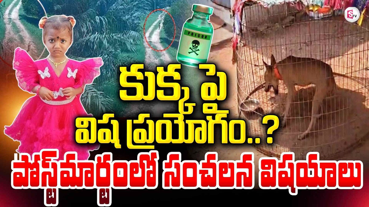 Kakinada Jahnavi Missing Case Latest Updates | కుక్క పై విష ప్రయోగం..? | Tuni Tragedy | SumanTV Sai