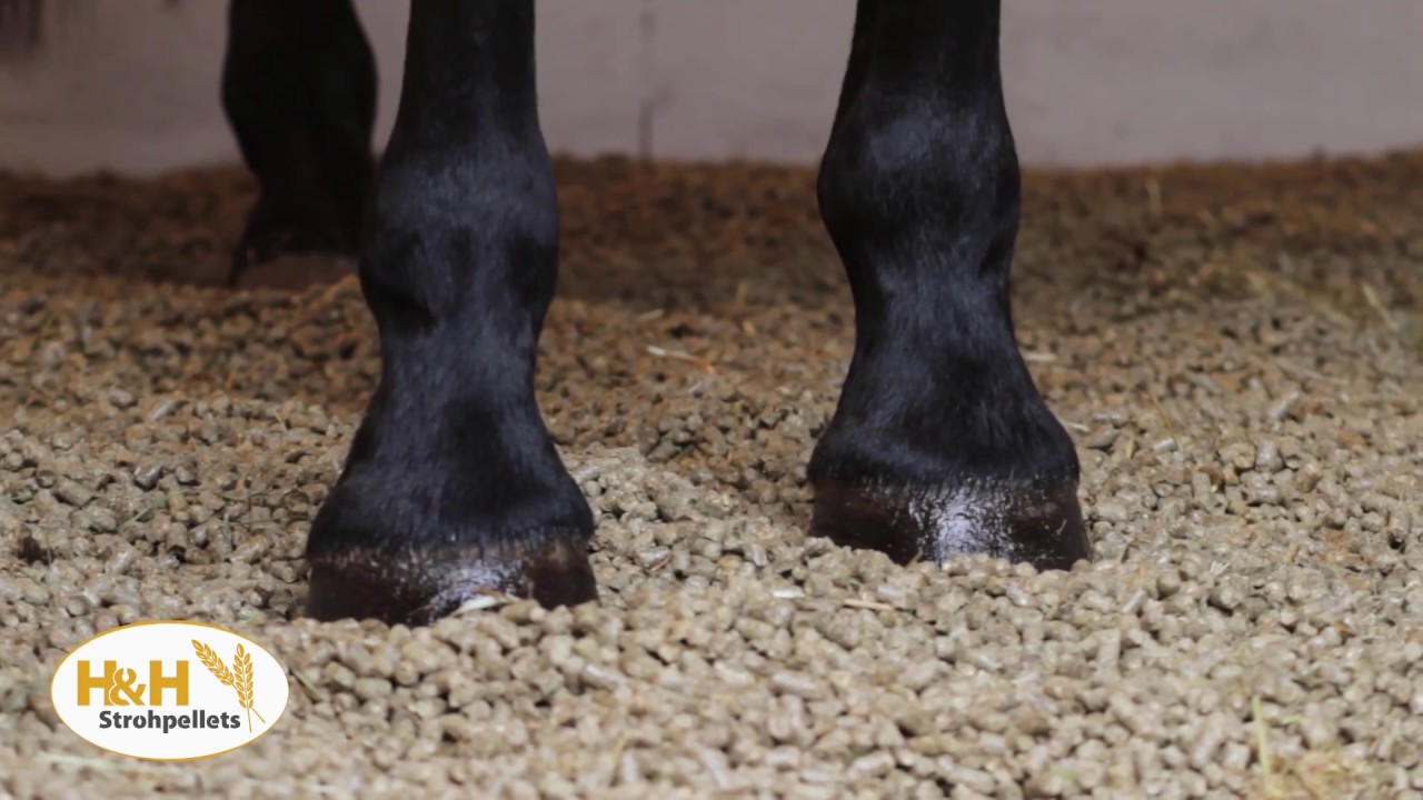 H&H Strohpellets Einstreu f&uuml;r Pferde