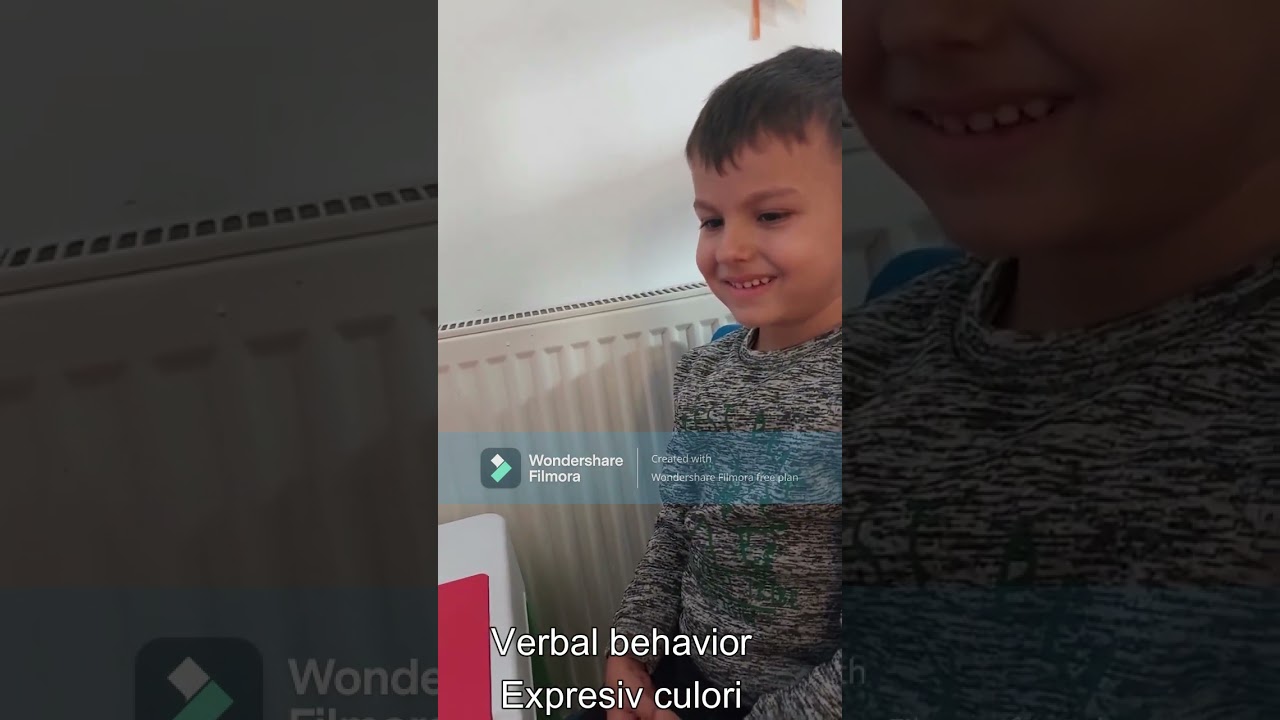 Dezvoltarea limbajului la copilul nonverbal- S.V.