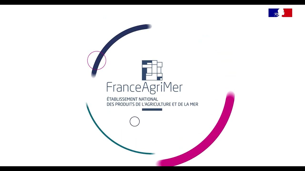 Webinaire - Panorama des fruits et légumes transformés en 2023