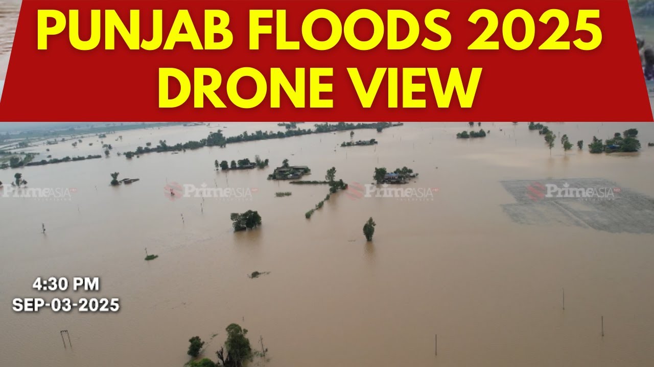 Punjab Flood Update (16) ||  Live Drone View || ਹੋਰ ਵੱਡੇ ਖ਼ਤਰੇ 'ਚ PUNJAB || Punjab Floods 2025