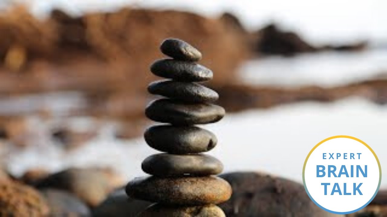 Meditation Helps 50-Year-Olds Have the Brains of 25-Year-Olds | Brain Talks | Being Patient