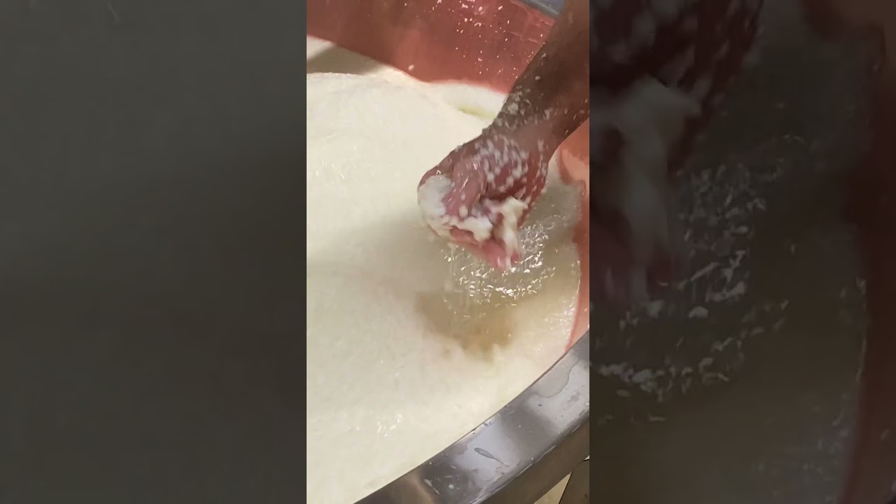 COME VIENE PRODOTTO IL PARMIGIANO REGGIANO