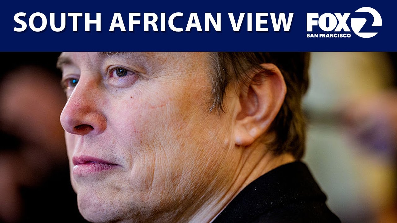 How some South African's see Elon Musk