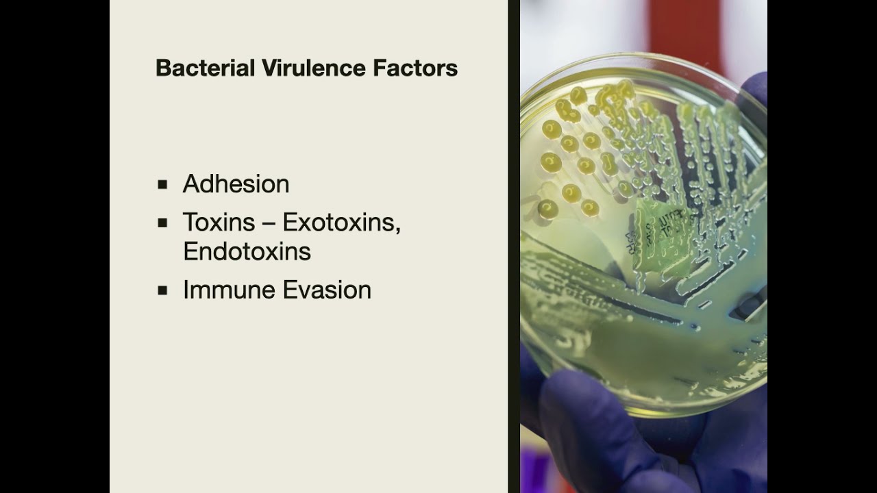 Microbial pathogenesis