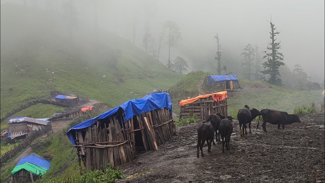 Best Life in The Nepali Mountain Village During The Rainy Season । Best Compilation Video rainy Time