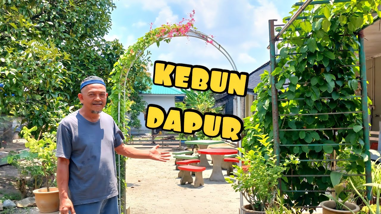 ✅️ Rumah Baru. Ternakan, Sayur, Herba Sampai Tanaman Bonsai