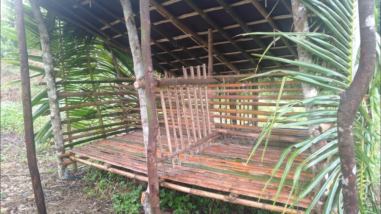 PAIWI SERYE Goat farming/sep-16-24 update