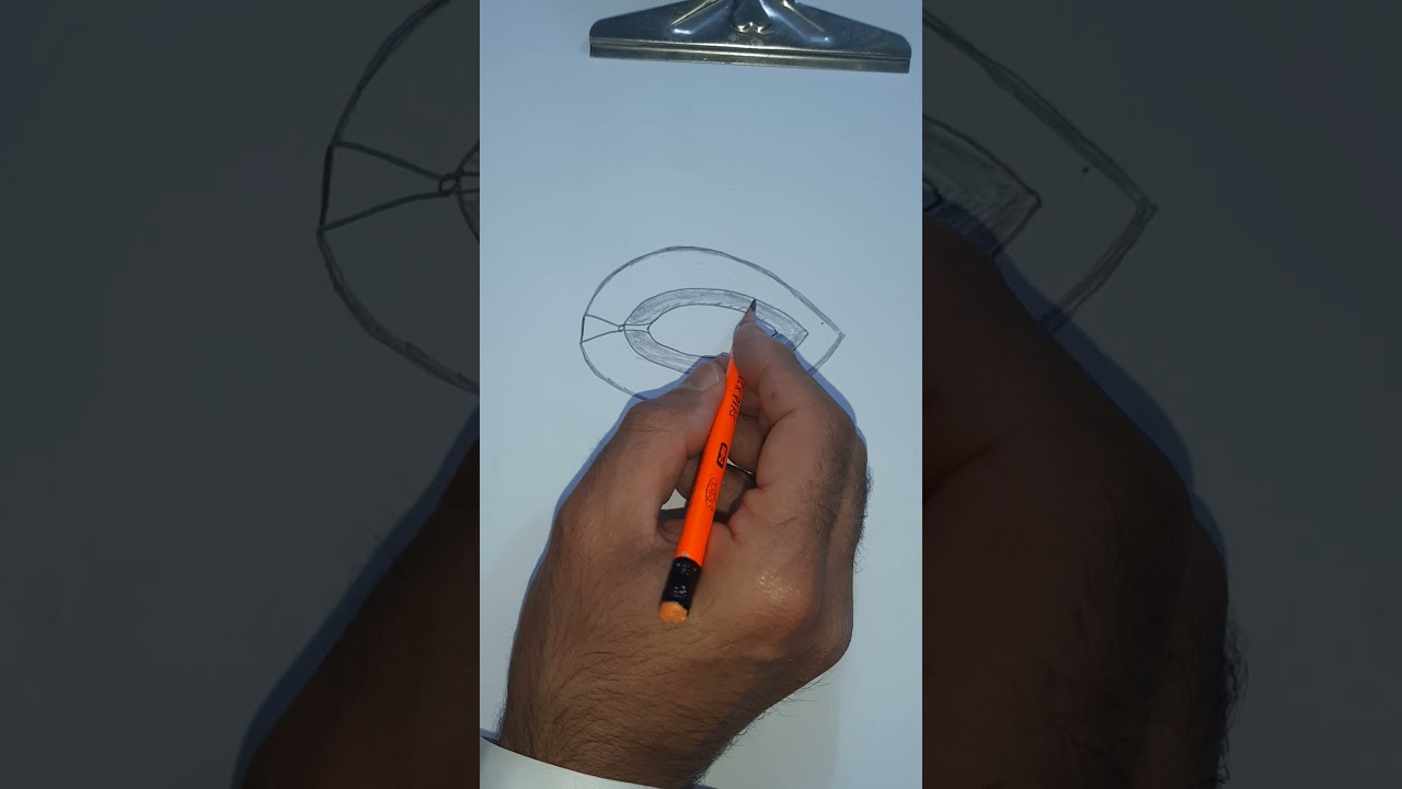 رسم تركيب الثمره