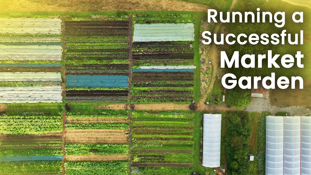 Market Gardening Tips for Success | Knepp Market Garden Case Study