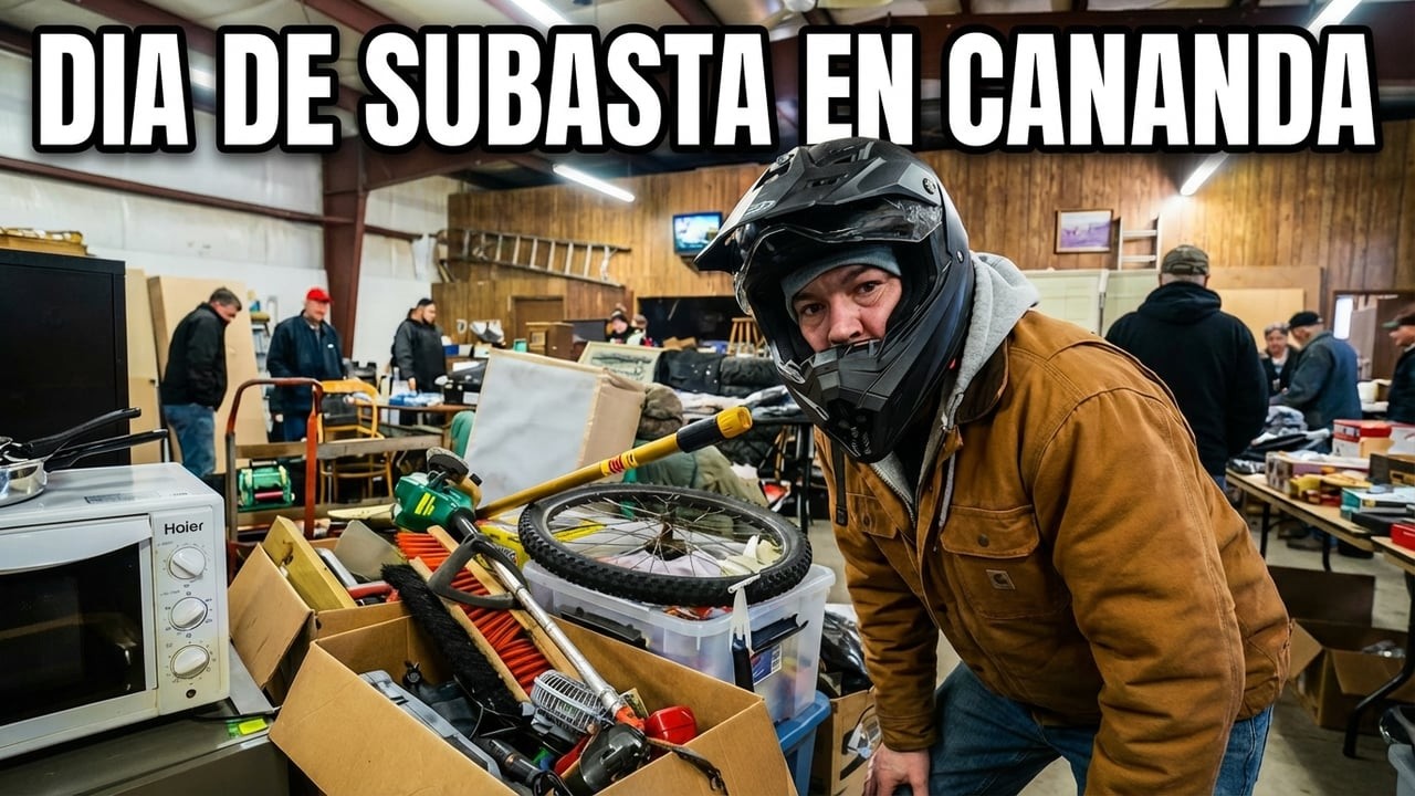 ¿Vale la pena ir a subastas en CANADÁ? Mi experiencia completa
