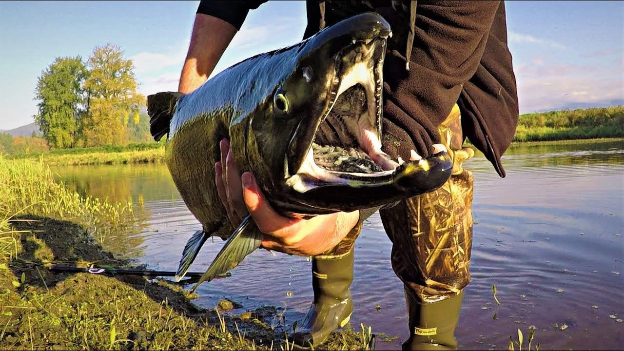 Salmon Fishing Vancouver, BC