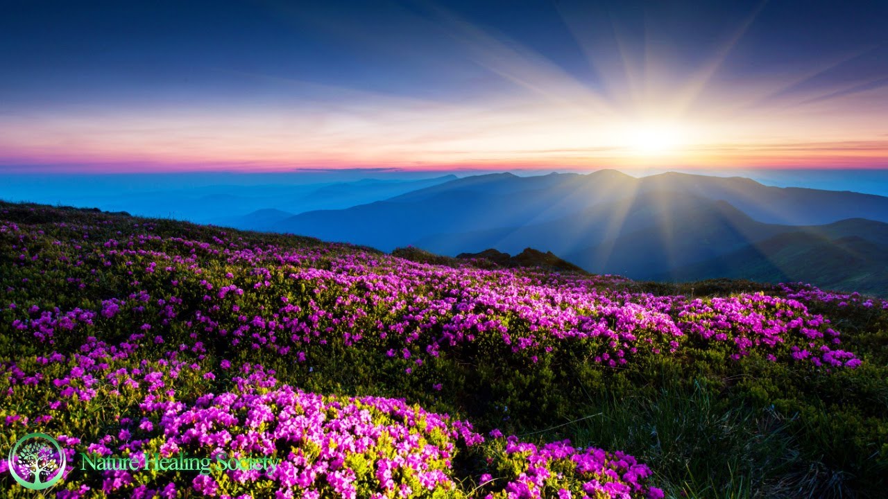 HAPPY Morning Music 💖 Filled With Positive Energy & Feelings 528Hz