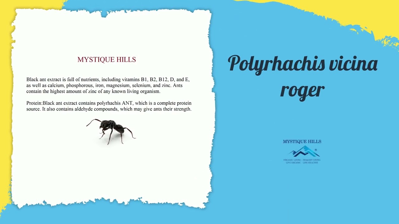 Black Ant Extract