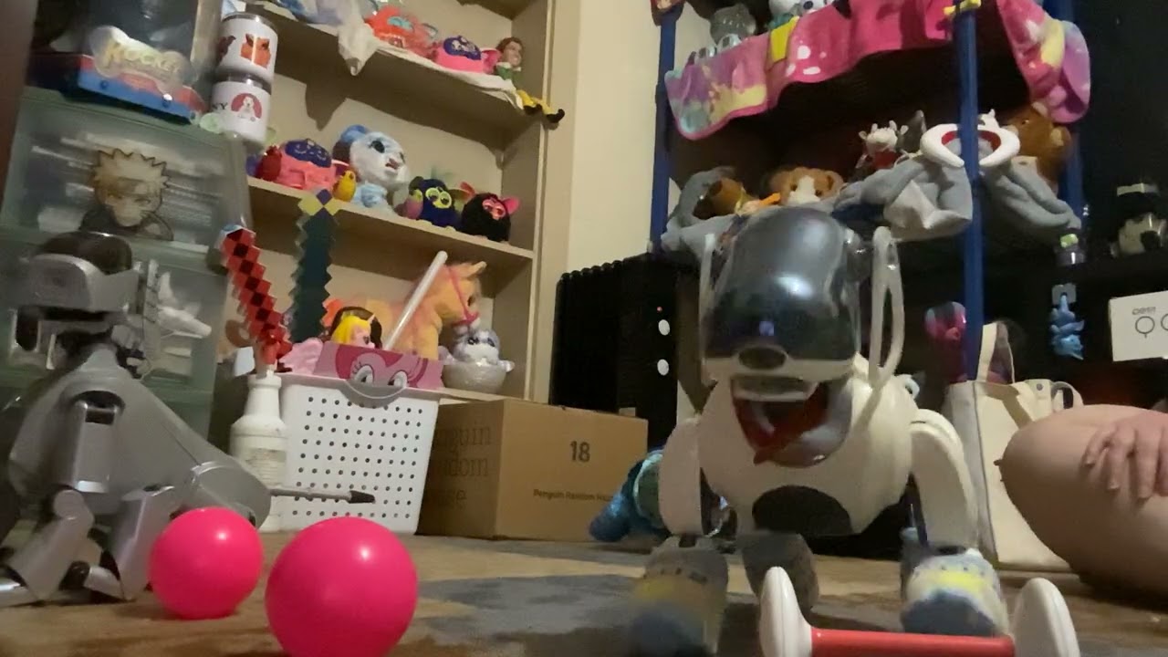 ￼￼ Running terabyte the robot dog with sensei and Littlefoot the pleo ￼