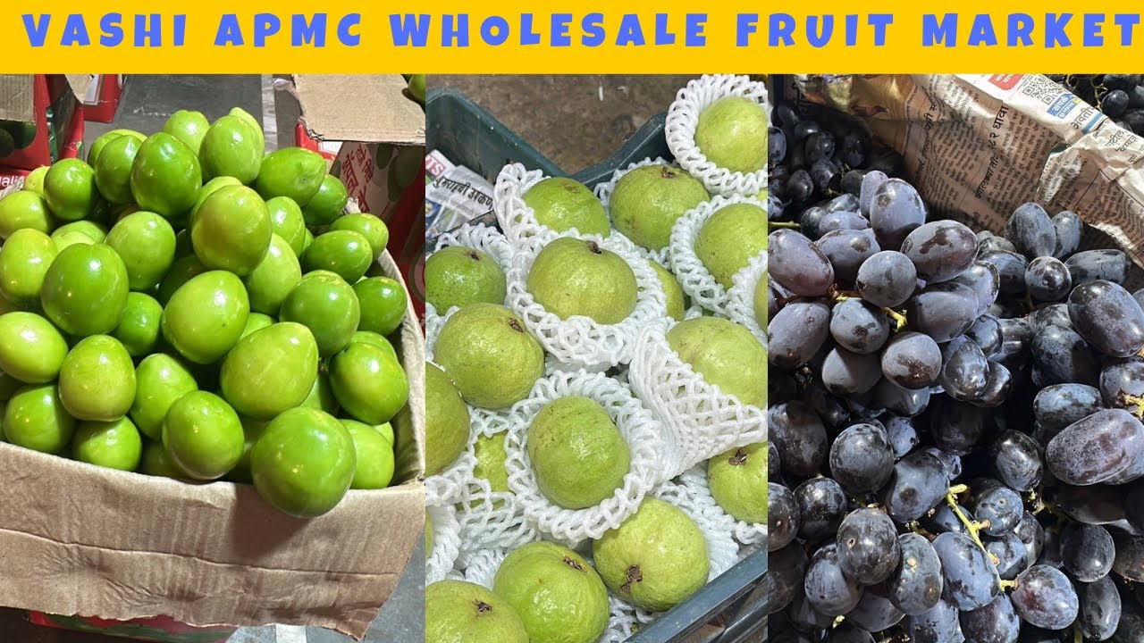 APMC Fruit Market Mumbai | APMC Market Vashi Fruit Rates Today | Wholesale Fruit Market in Mumbai