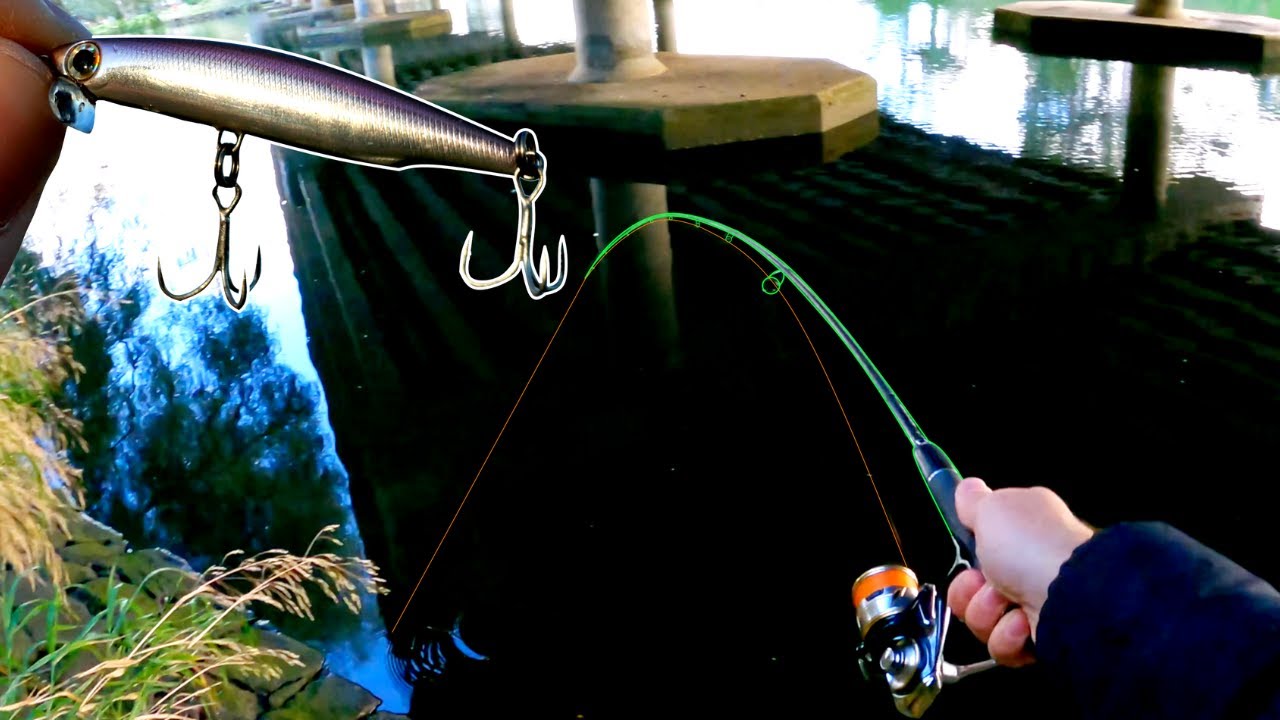 Fishing with this Lure under a bridge... (Fish a cast!)
