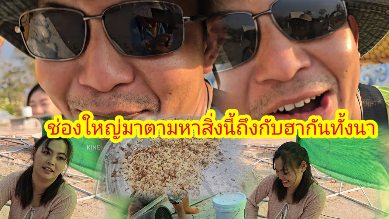 ช่างปั้นร้องลั่นใครมาด้านหน้า 2 แอดมินหาไข่มดแดงมาจากไหน 