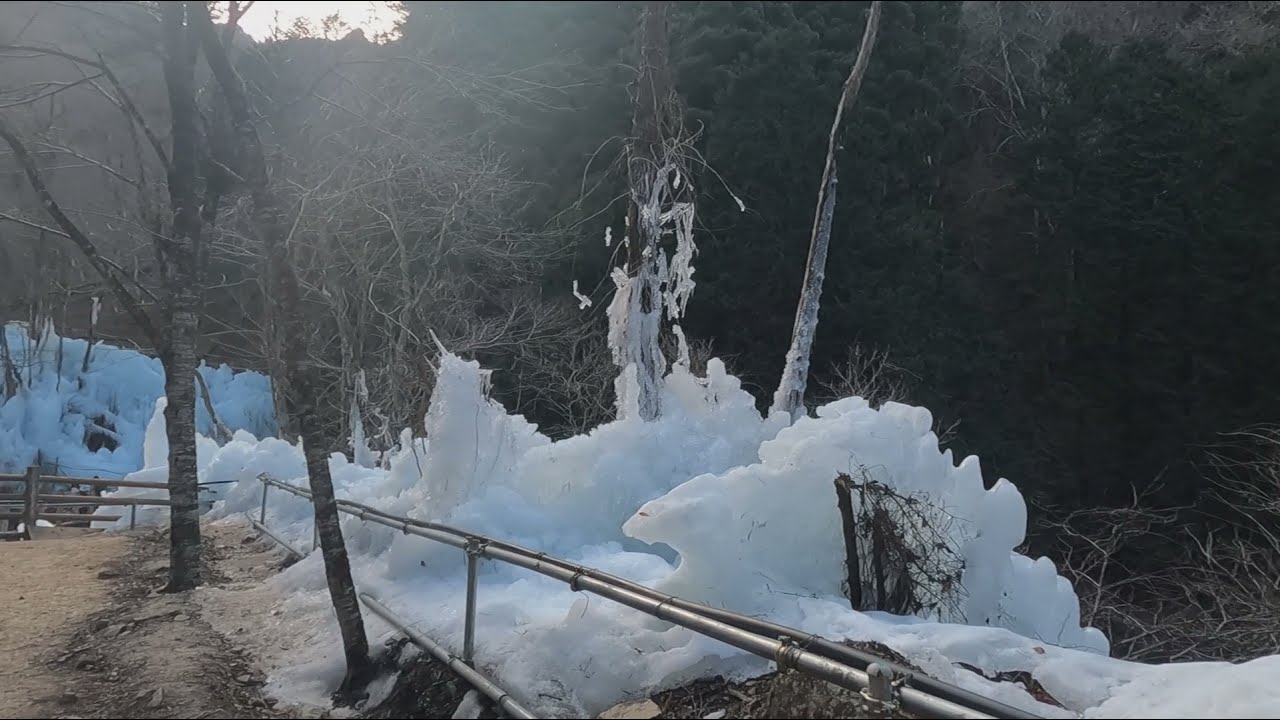 尾ノ内百景氷柱2021
