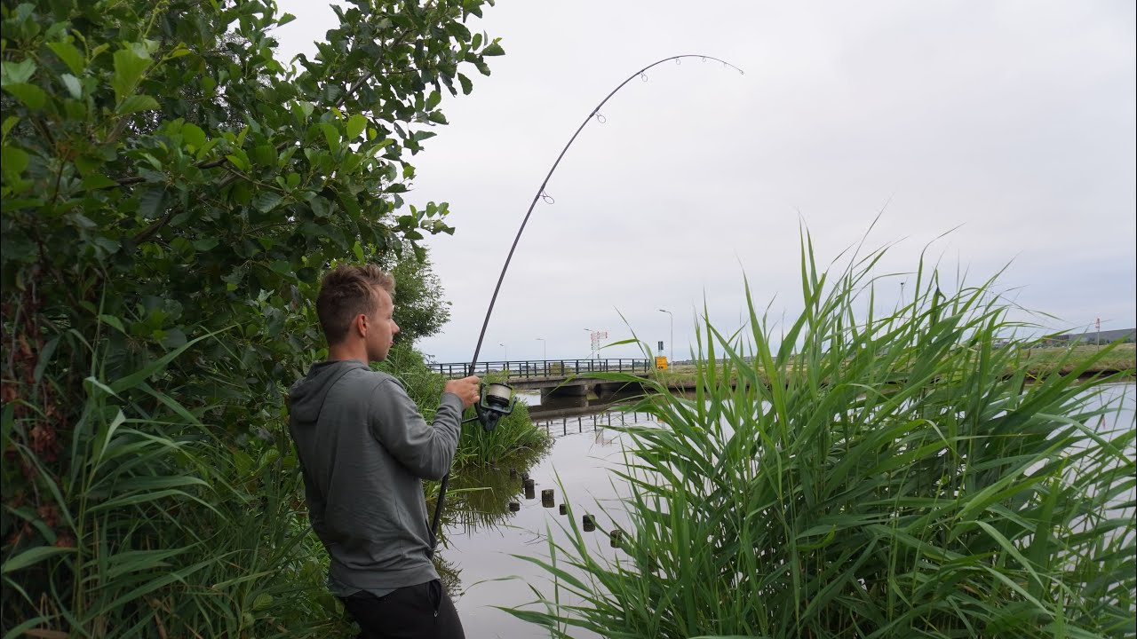 Direct SUCCES op een NIEUW water ! Karpervissen