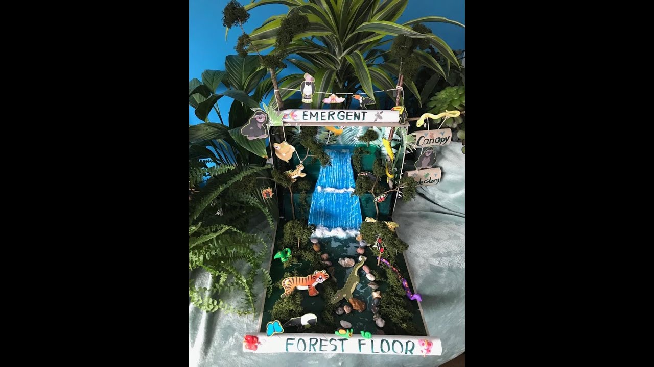 Step by Step Guide on How to Create a Rainforest Diorama Using Recyclable Materials
