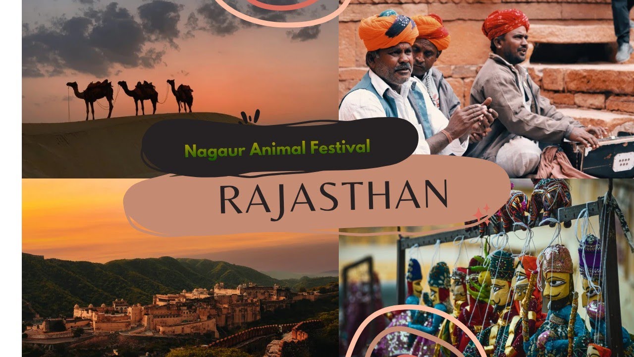 Nagaur Animal Festival 