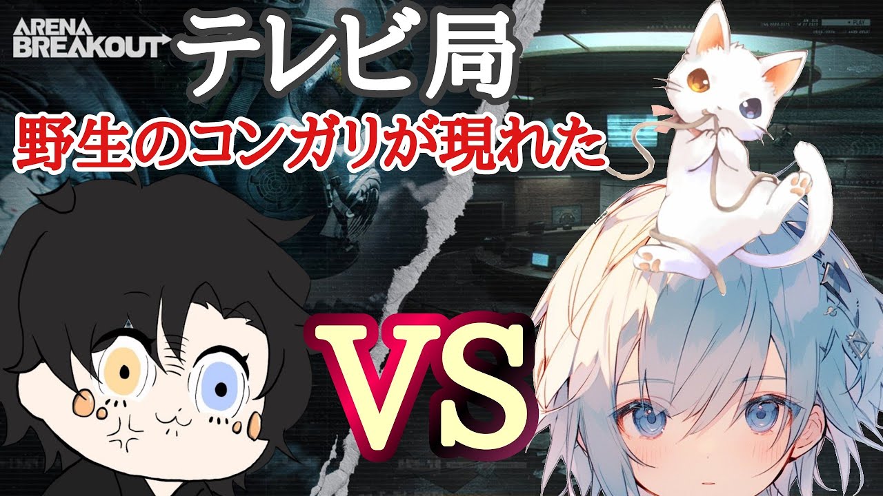 野生のコンガリが現れた、みんなこれ本物ですか？？【アリーナブレイクアウト】