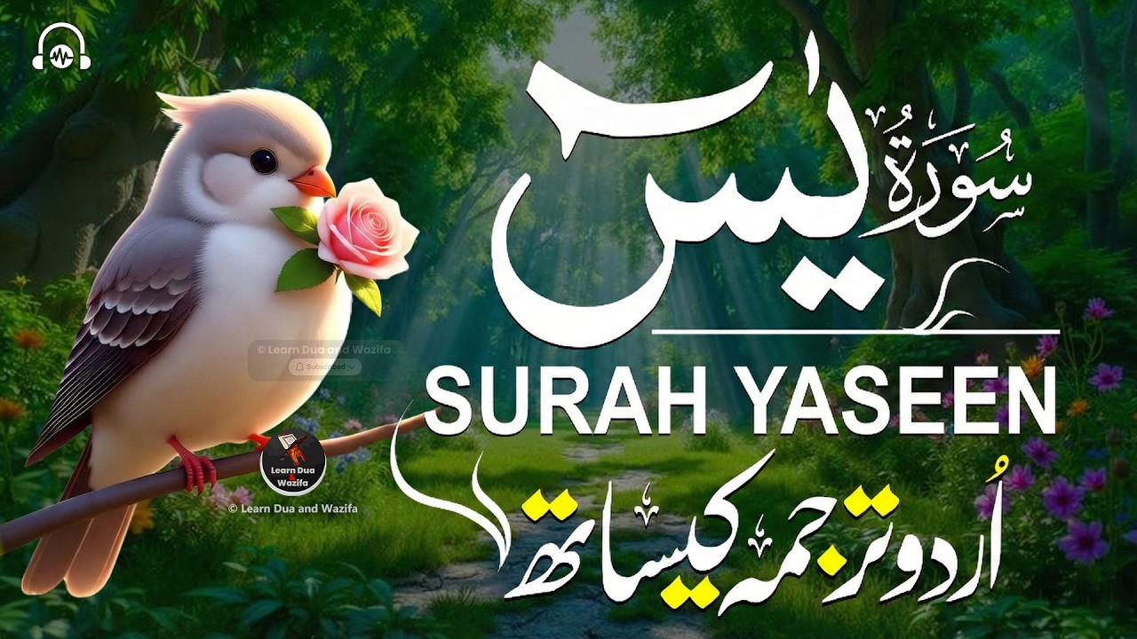 Surah Yasin (Yaseen) سورة يس | Melodious Lofi Quran for Deep Sleep & Inner Calm | #quranforsleep