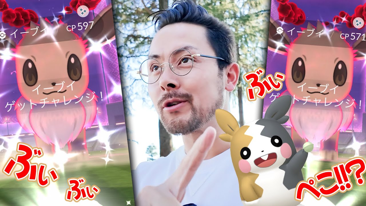 色違いイーブイ！！高個体イーブイ！！いっぱいイーブイ！！モルペコも本日が最後！！追い込み頑張るぞおおお！！！【ポケモンGO】