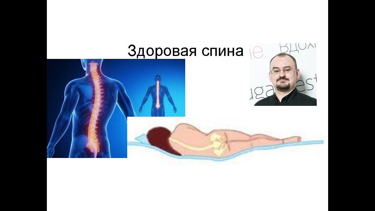 Спина - как сделать спину здоровой