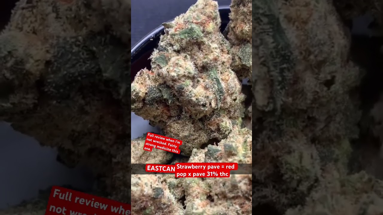 East can strawberry pave 31%thc.