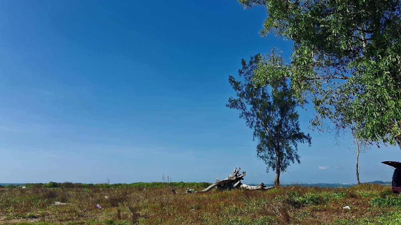 WYNS THE FILM