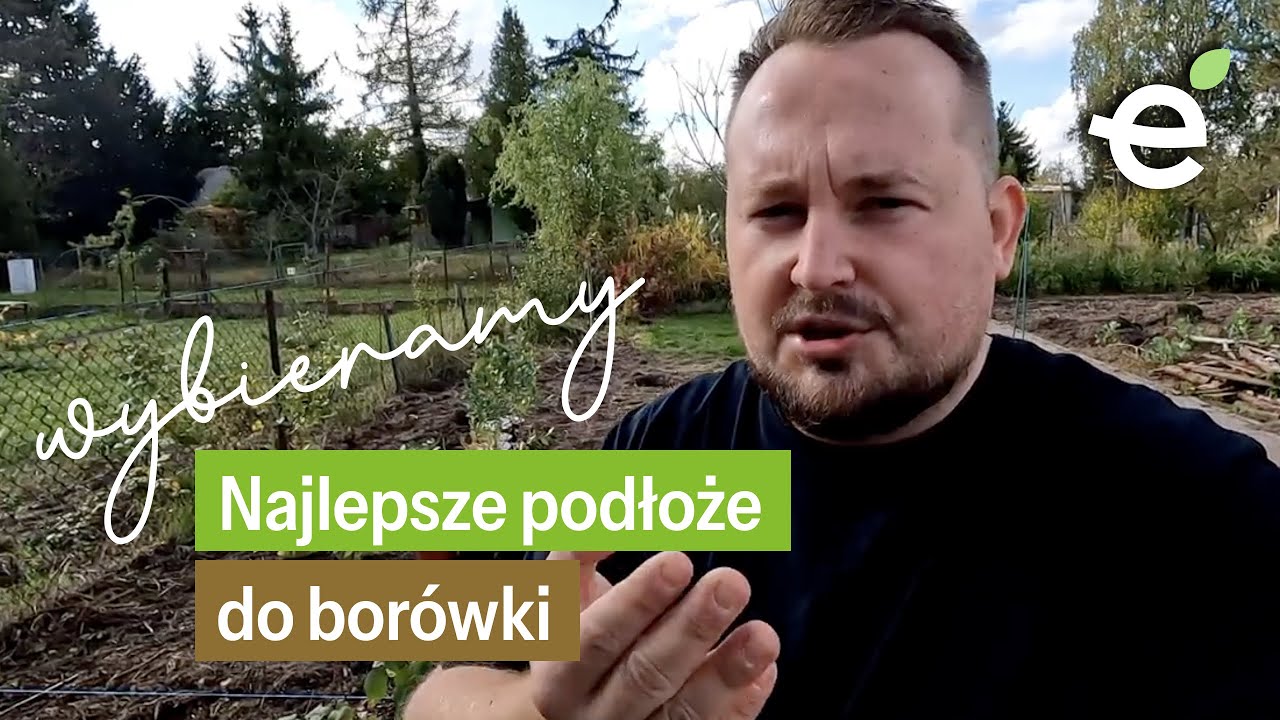 Typujemy najlepsze PODŁOŻE do borówki amerykańskiej