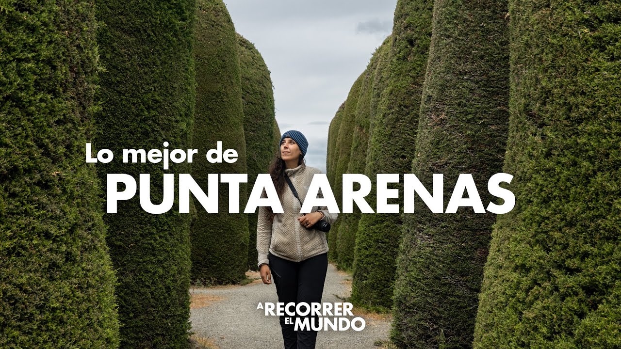 Qué hacer en Punta Arenas (Imperdibles, Comidas y Alojamiento) 🇨🇱