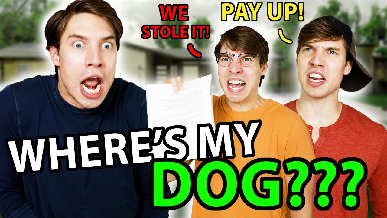Dog Walkers in 2024 💀(Full length video)